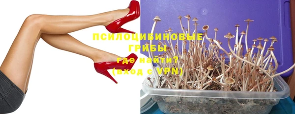 ГАЛЛЮЦИНОГЕННЫЕ ГРИБЫ Арсеньев