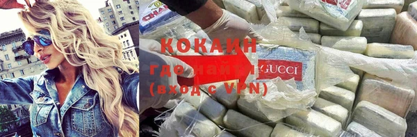 ГАЛЛЮЦИНОГЕННЫЕ ГРИБЫ Арсеньев