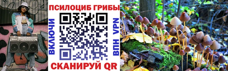 Галлюциногенные грибы GOLDEN TEACHER  цены наркотик  blacksprut ССЫЛКА  Сураж 