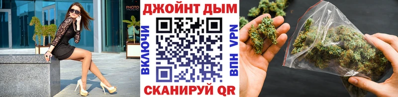 Конопля планчик Сураж